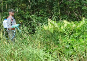 Invasive Species Monitoring